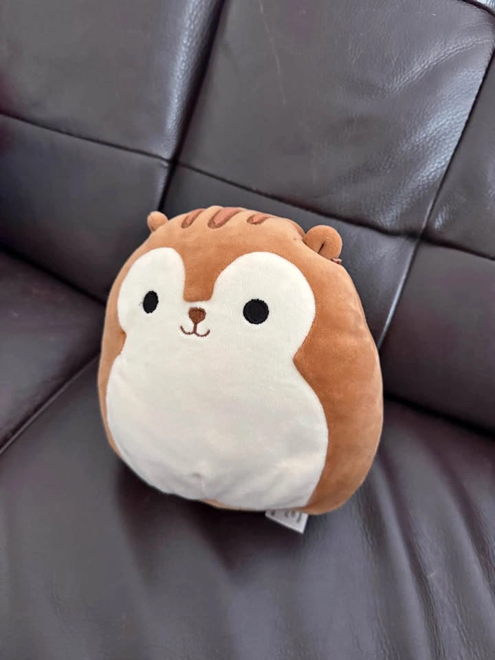 Squirrel Squishmallow