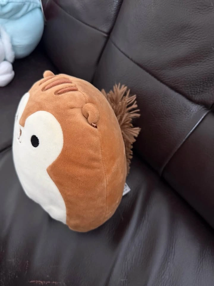Squirrel Squishmallow - photo 2