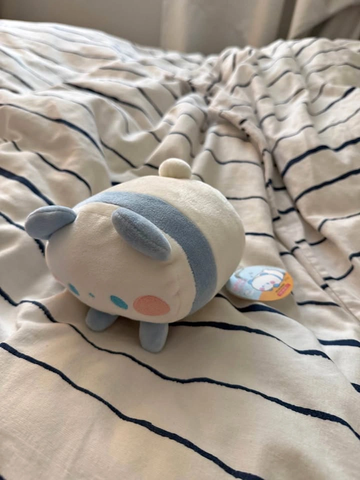 Brand New Bear Stuffie