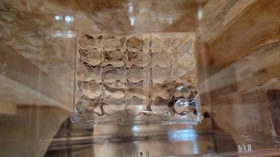 GoldFish cookie cutters set