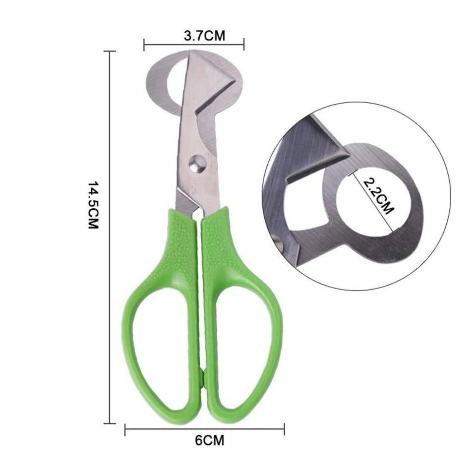 Quail Egg Scissors - $5.00 each - photo 3