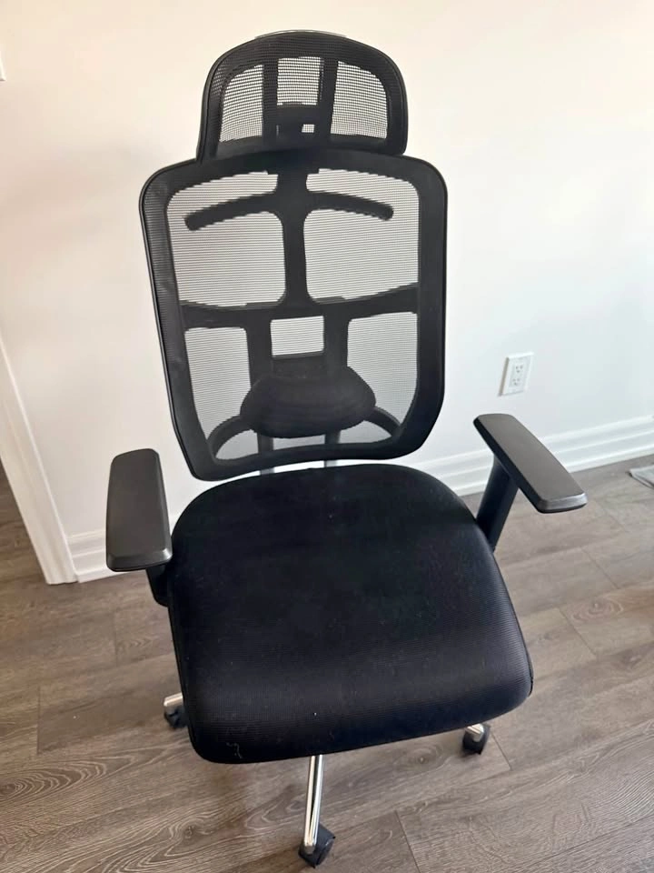 Ergonomic Mesh Office Chair with Headrest