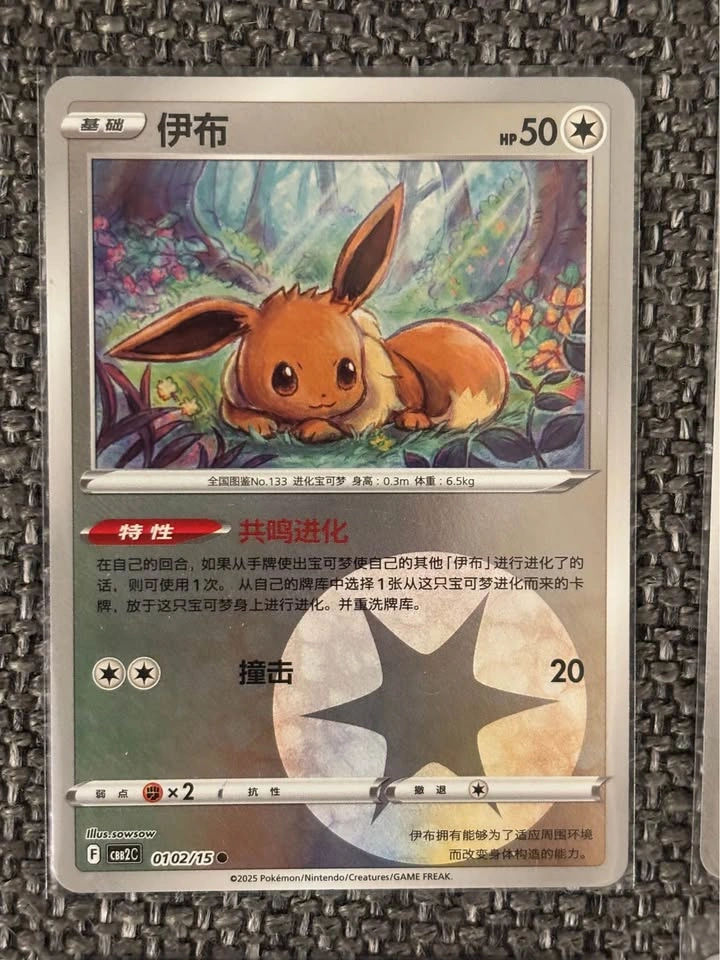 Chinese Pokemon Bundle - photo 3