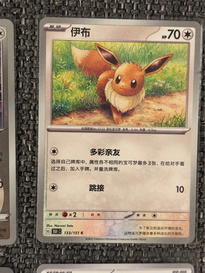 Chinese Pokemon Bundle - photo 4