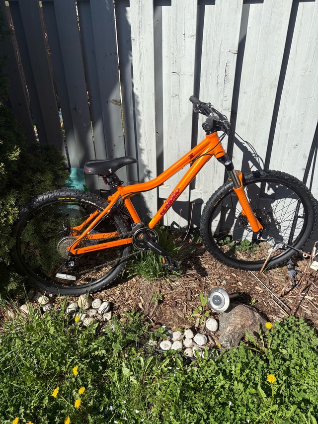 2020 Komodo Mountain Bike