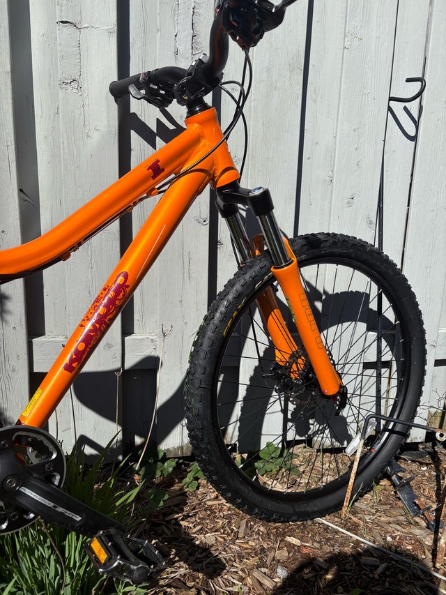 2020 Komodo Mountain Bike - photo 2