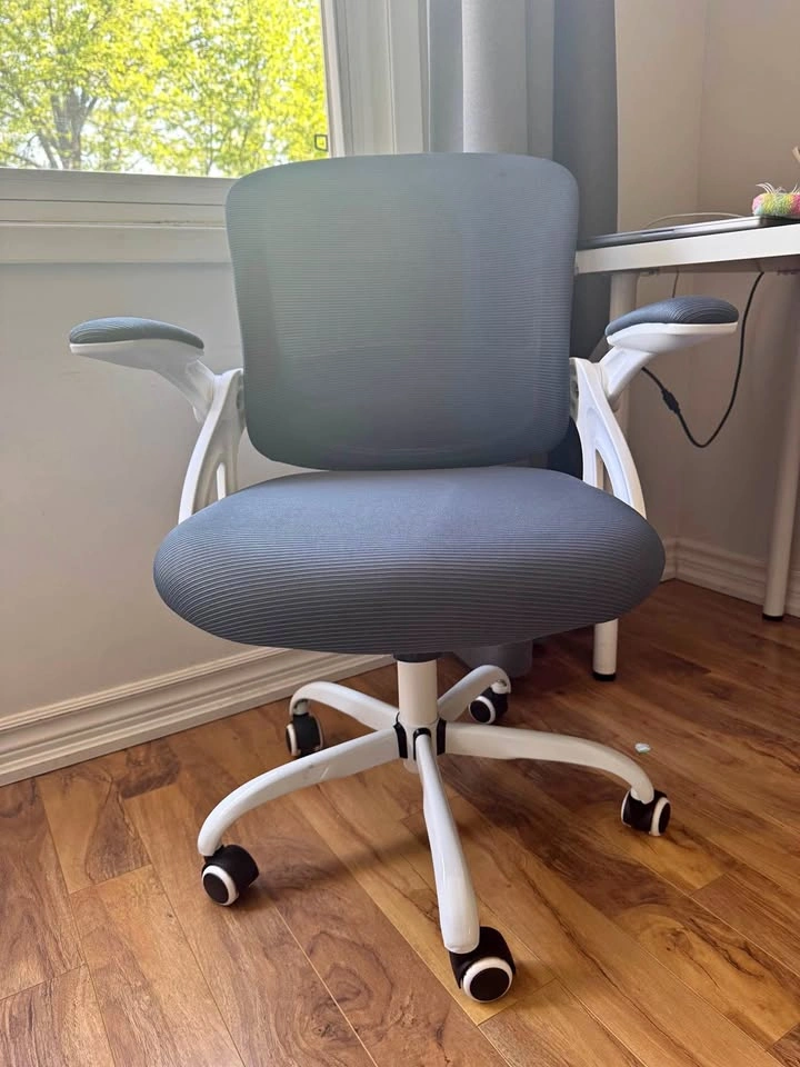 Ergonomic Mesh Office Chair