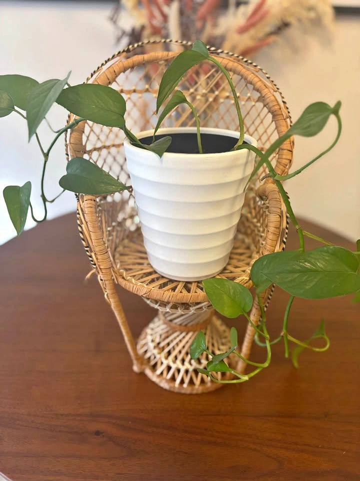 Miniature Wicker Peacock Chair Plant Stand