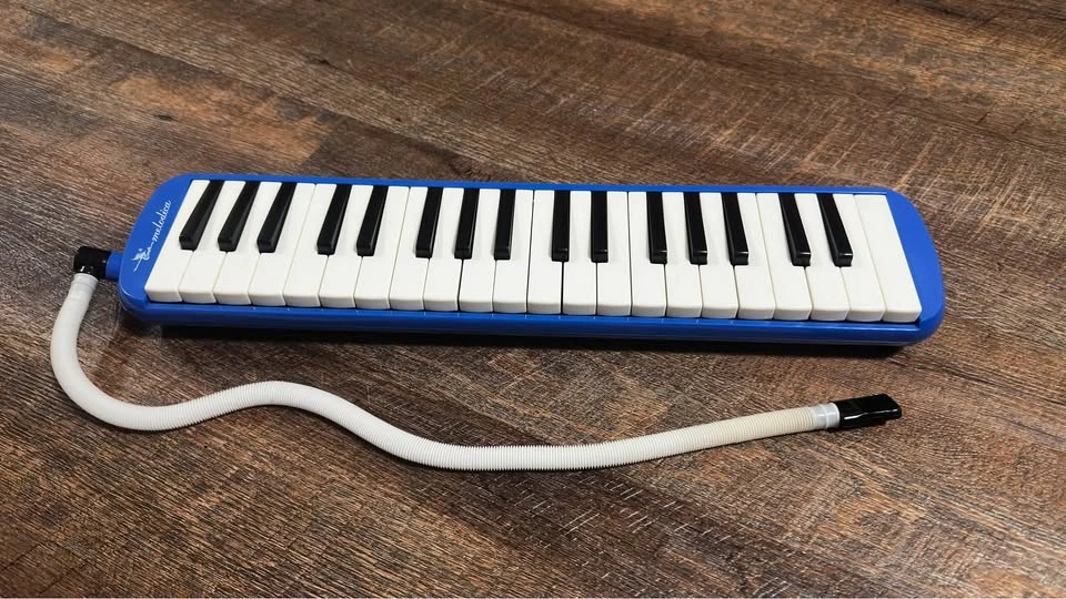 Swan 37 keys Melodica - photo 2