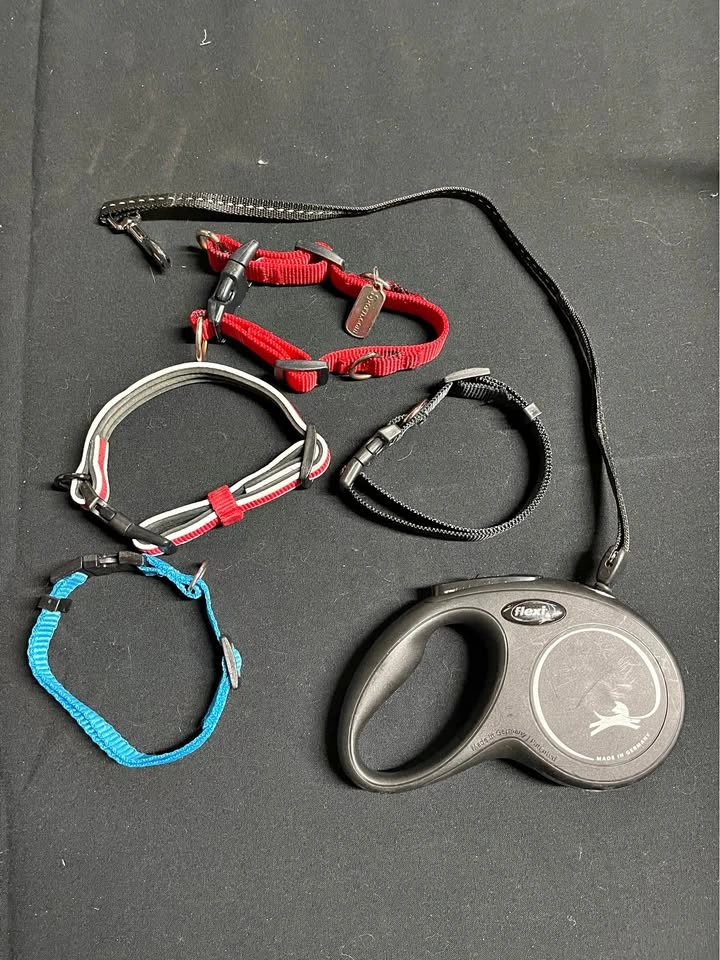 Flexi Retractable Dog Leash & Collars Set