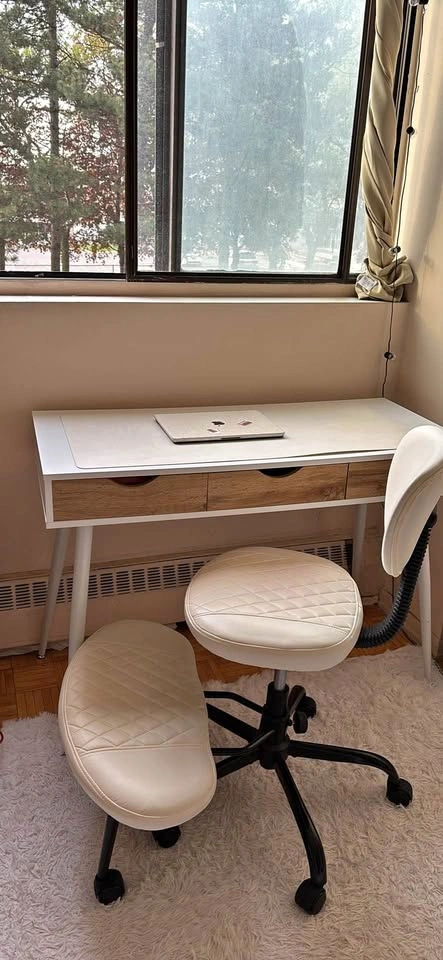Desk and Ergonomic Chair (Read Description Pls)