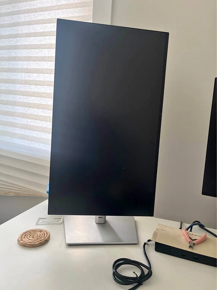 Dell Pro Monitor