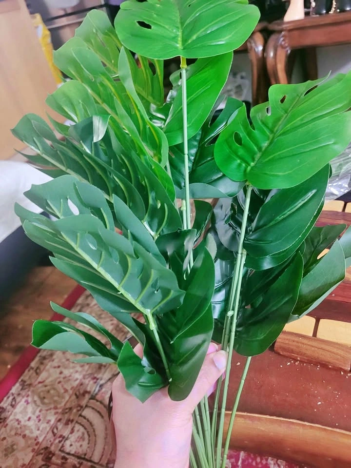 High-Quality Monstera Deliciosa - Realistic Plastic