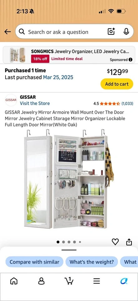 Over the Door Mirror Armoire