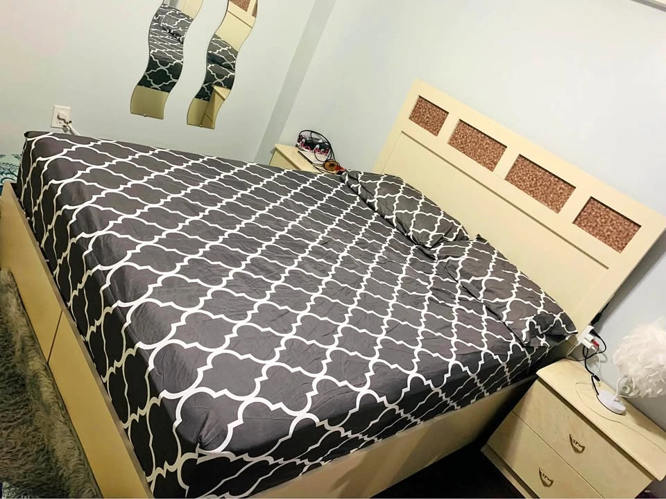 Queen Size Bed and Mattress