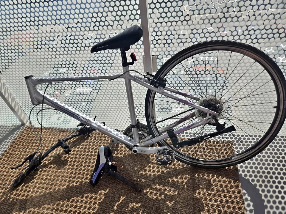 Giant Escape Bike Frame and Parts