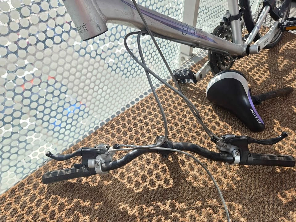 Giant Escape Bike Frame and Parts - photo 3