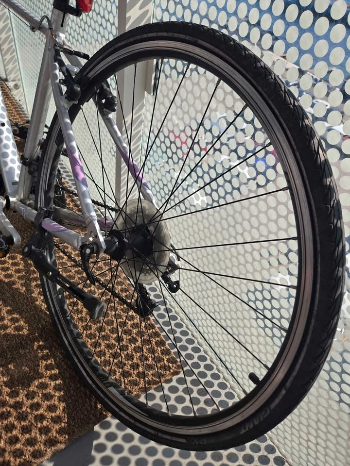 Giant Escape Bike Frame and Parts - photo 4