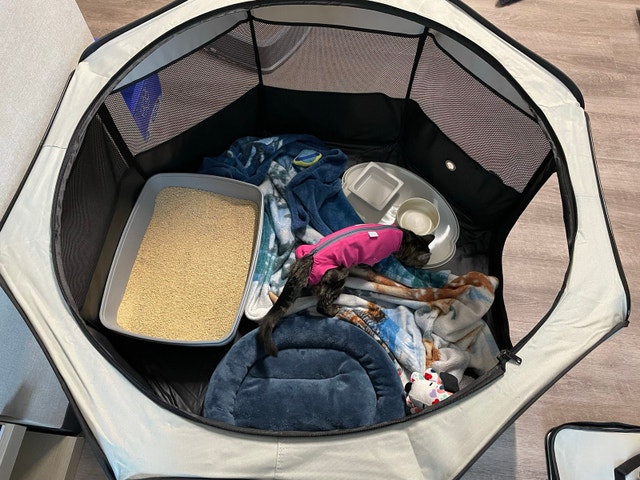 Pet Playpen (foldable, 45”)