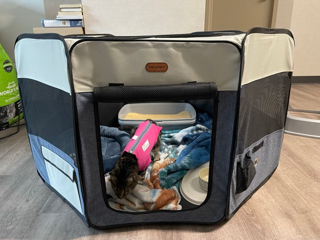 Pet Playpen (foldable, 45”) - photo 4