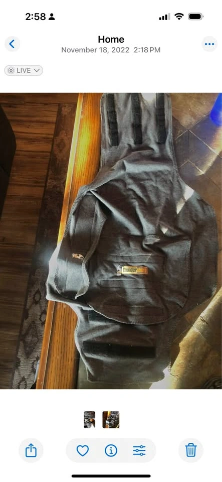 Dog Thunder Shirt