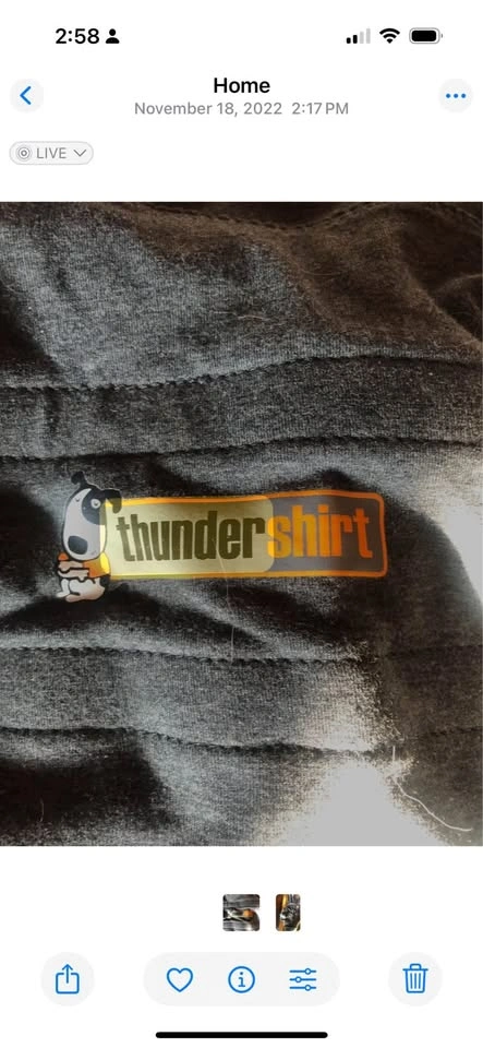 Dog Thunder Shirt - photo 2
