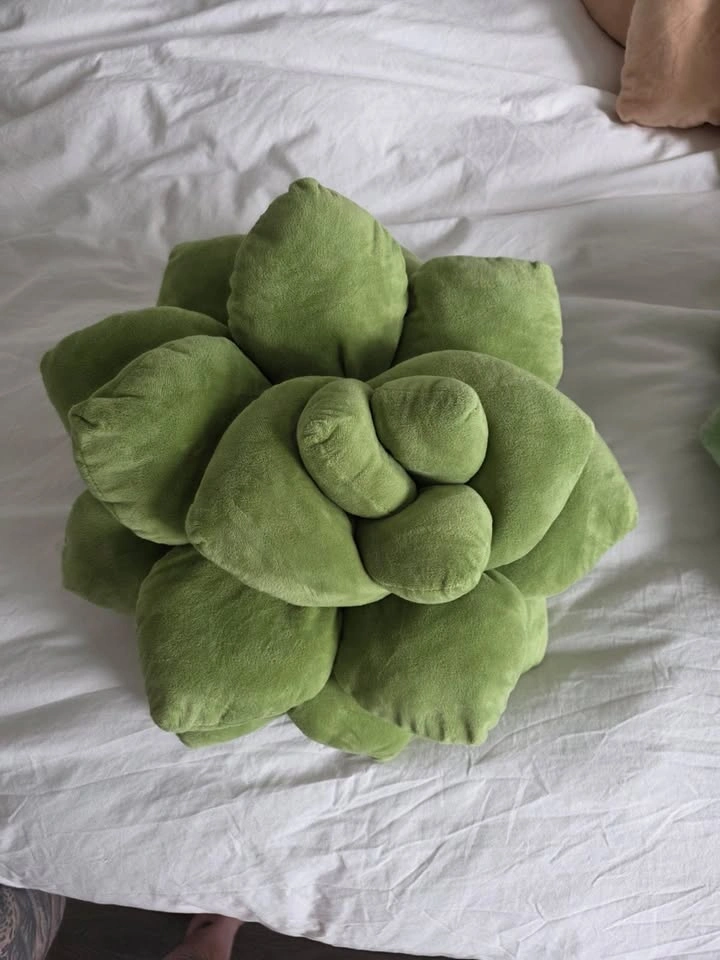 Pillows - Plant Pillows - photo 4