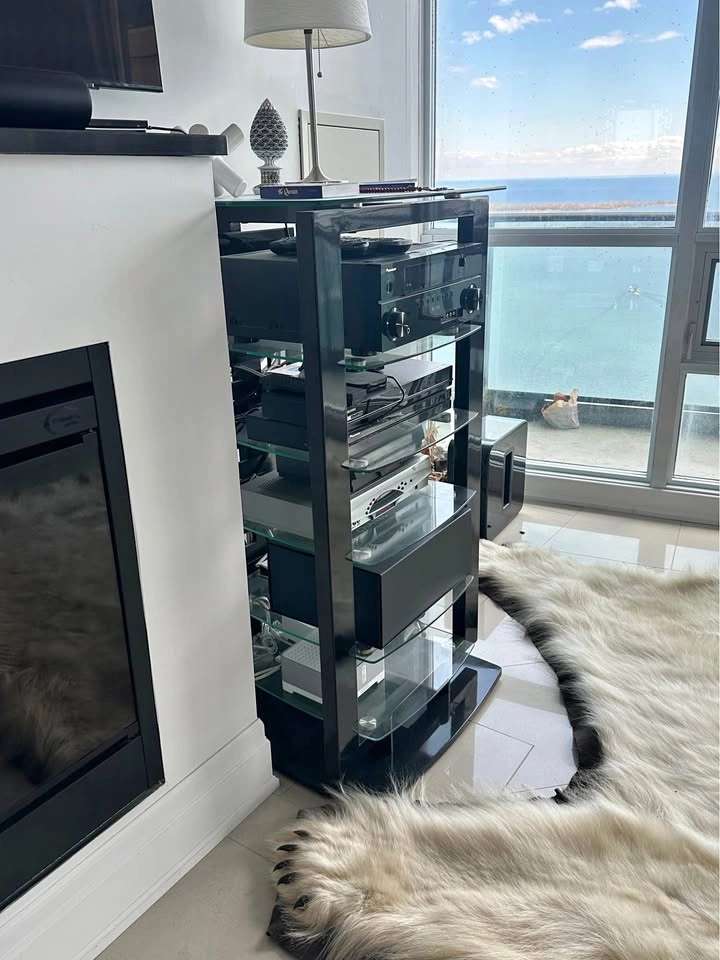 Wooden and Glass Shelving Unit - MOVING SALE TORONTO!