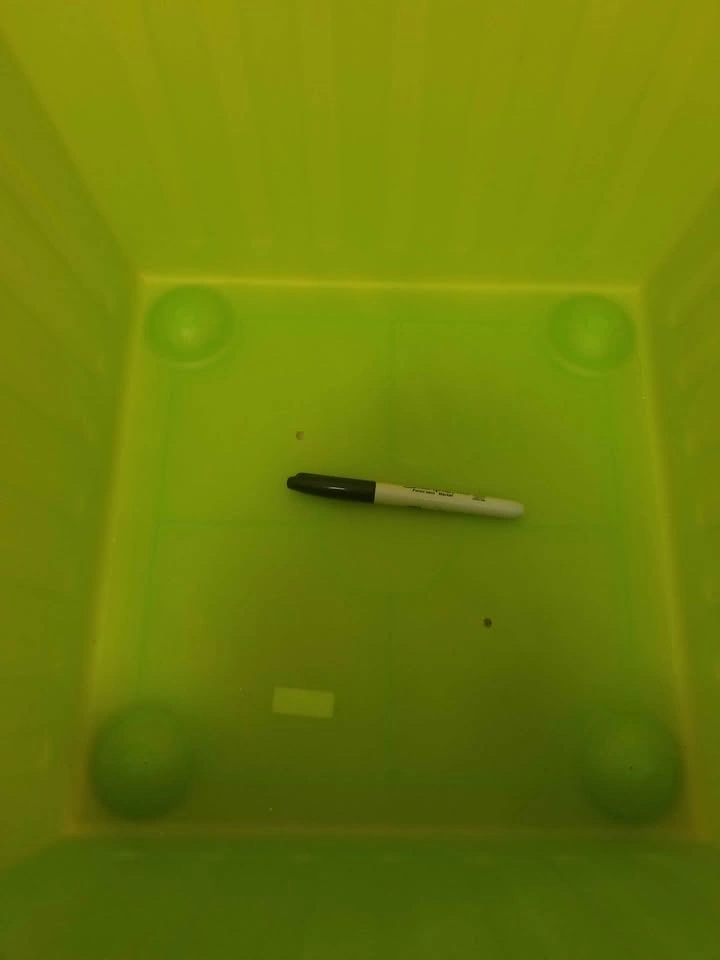 IKEA Green Storage Bin - photo 3