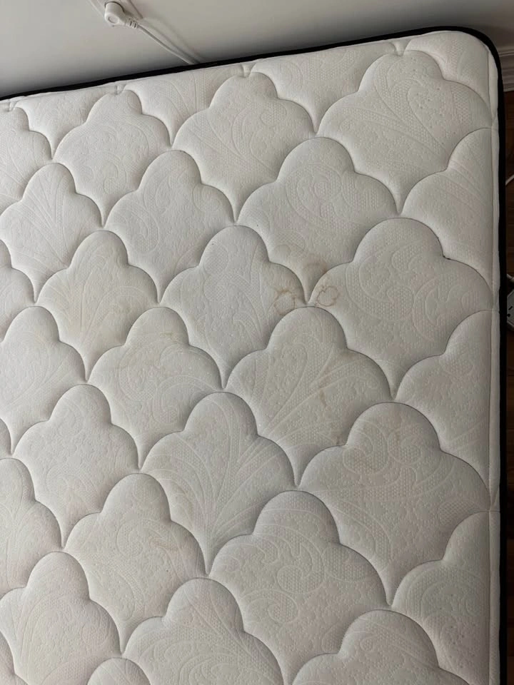Beautyrest Fillmore 8 inch Queen Mattress - photo 4
