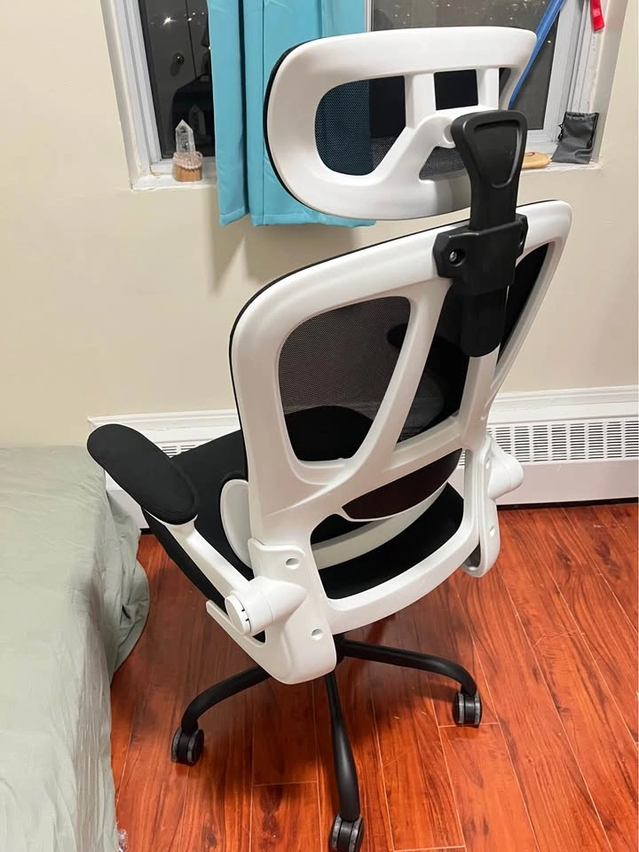 Ergonomics Office Chair from Amazon - photo 2