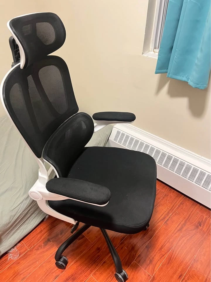 Ergonomics Office Chair from Amazon - photo 3