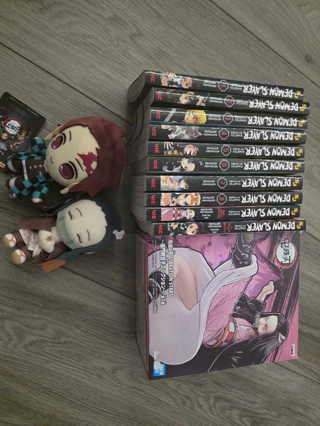 Demon Slayer Bundle: Manga Vols 1-8, Light Novels, Nezuko Figure