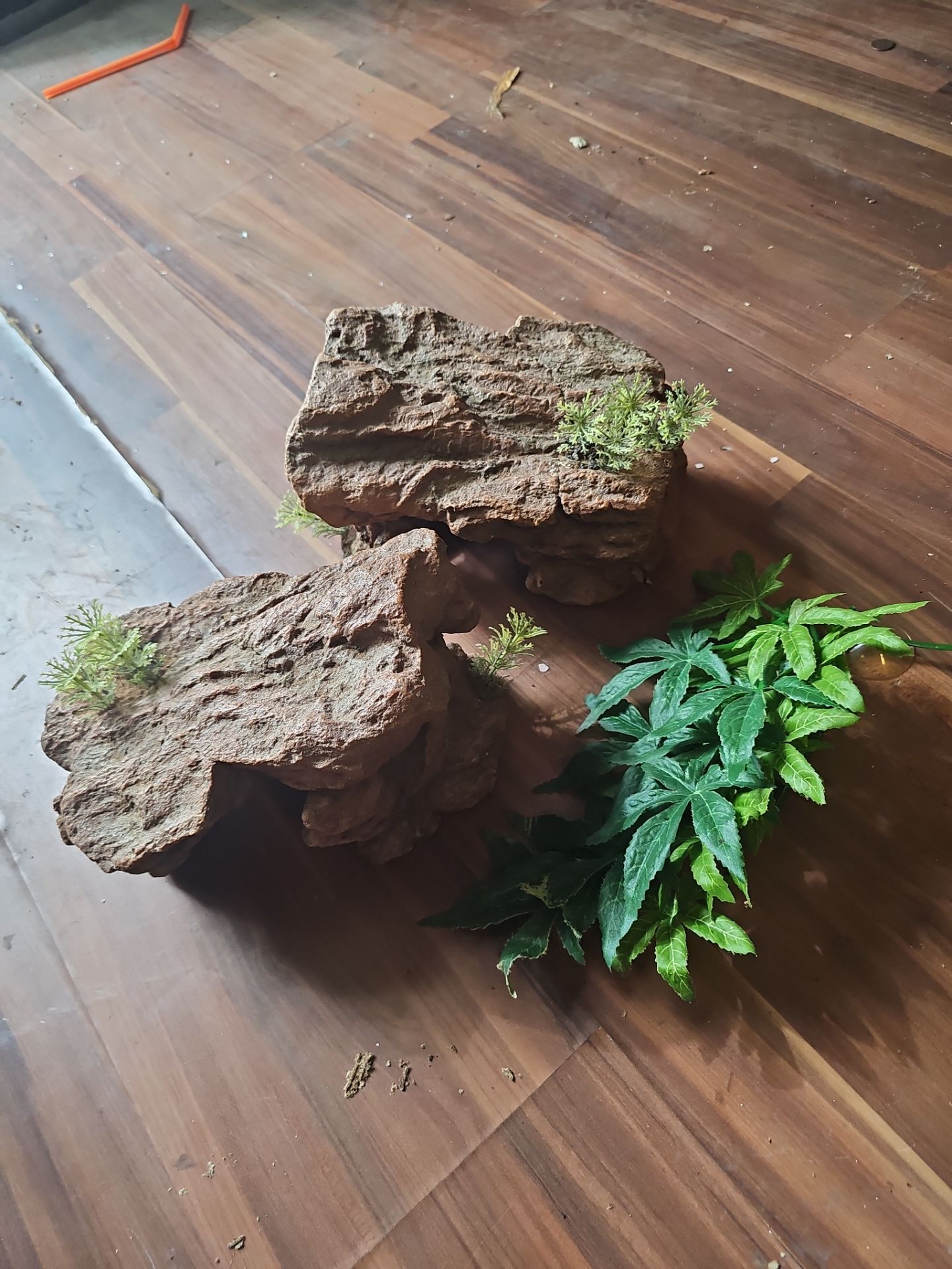 Fish Tank Decorations
