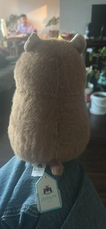 JELLYCAT Gordy Guinea Pig - photo 2