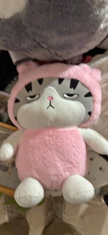 Pink Grumpy Cat Plushie