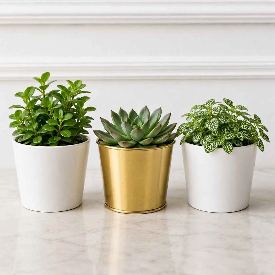 NWT IKEA Planter Pot Bundle DAIDAI Brass + 2 SOJABÖNA White