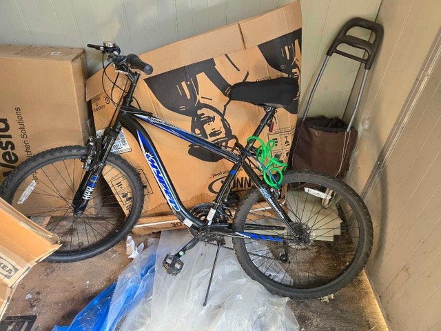 Schwinn Bike