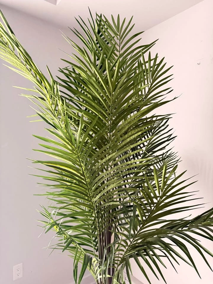 6FT Faux Palm Tree - photo 2
