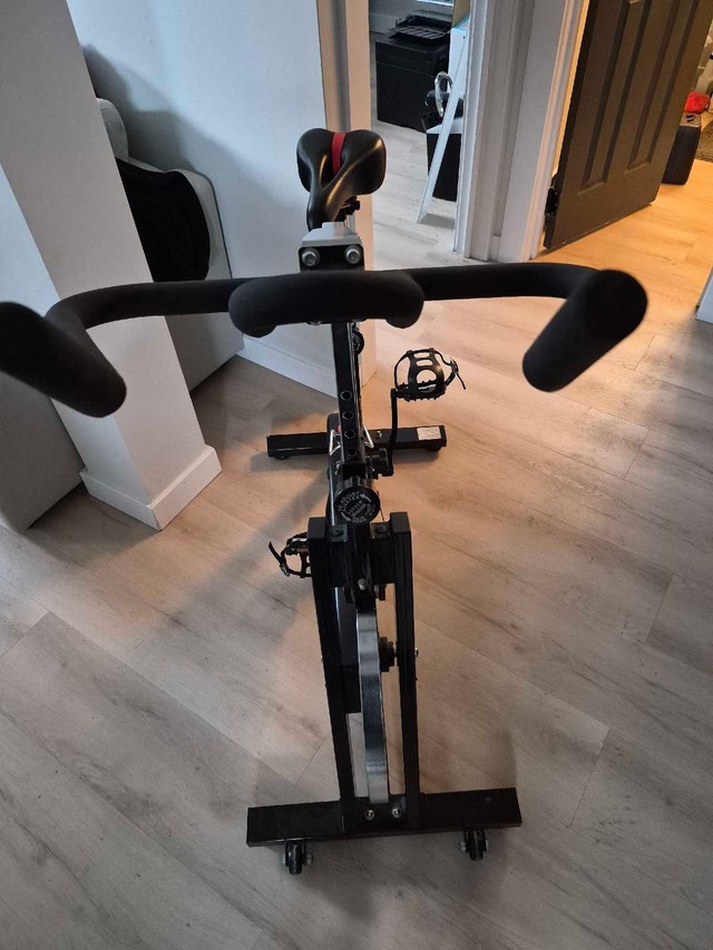 ION Fitness Bike - photo 4