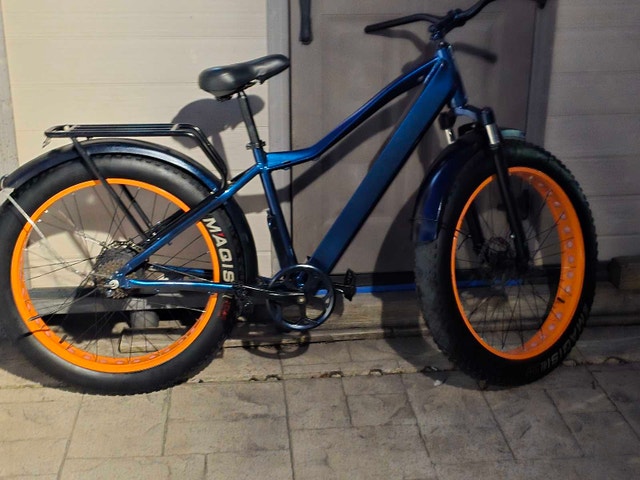 Tankx Fat Tire ebike - Beast of a Machine