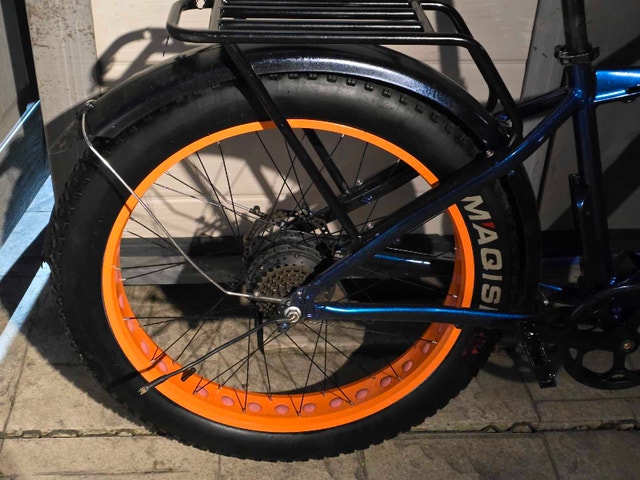 Tankx Fat Tire ebike - Beast of a Machine - photo 3