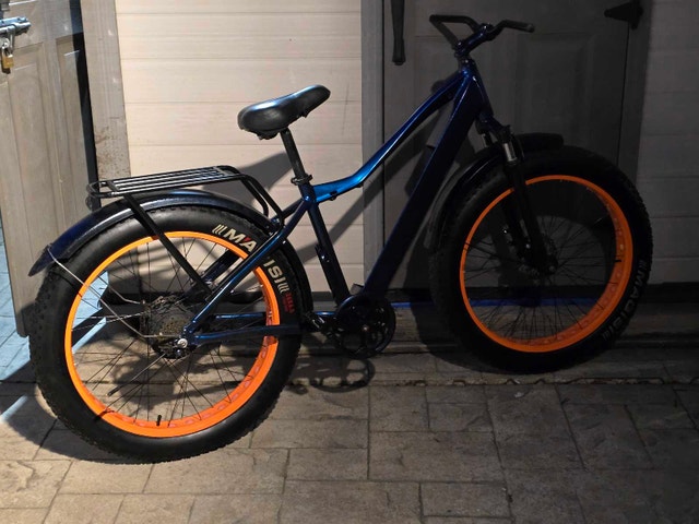 Tankx Fat Tire ebike - Beast of a Machine - photo 4