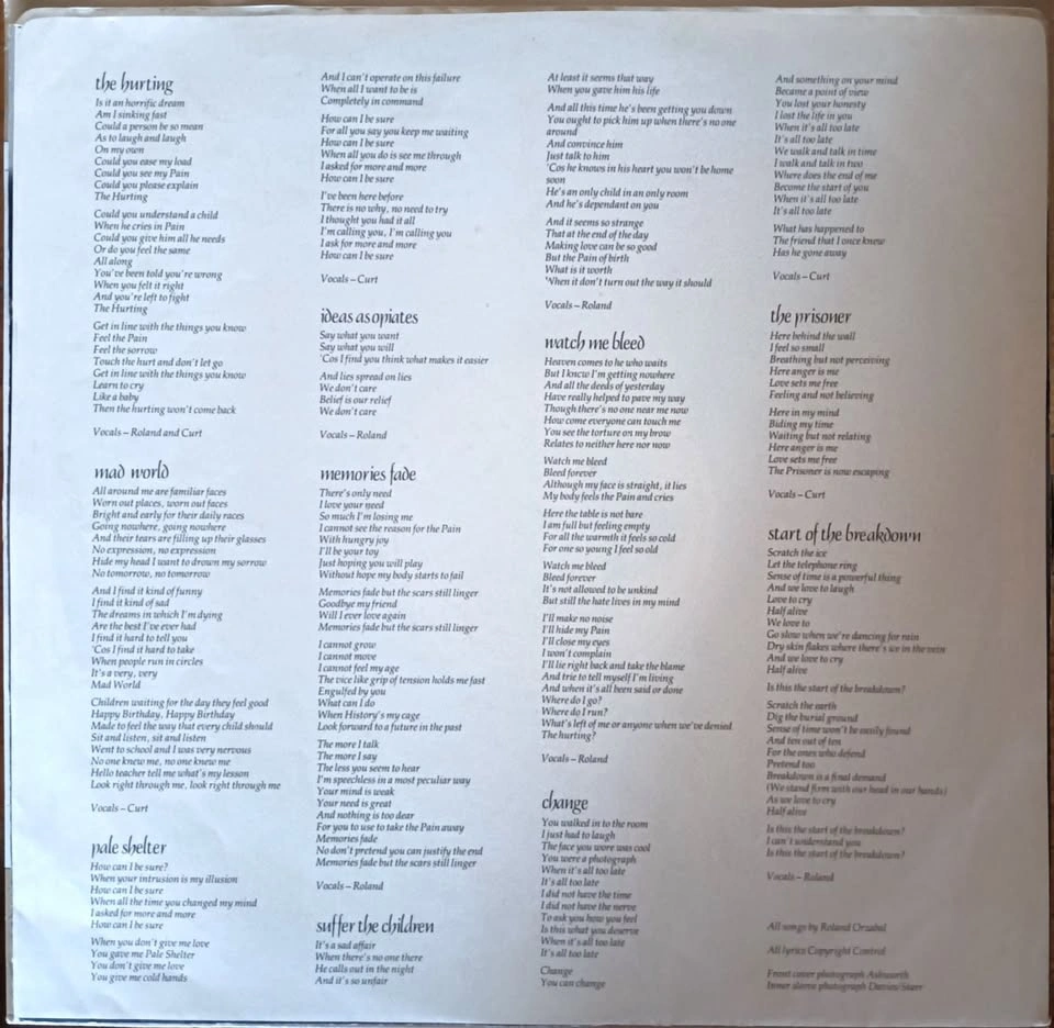 Tears For Fears - The Hurting LP (1983, Cdn. pressing) VG/VG+ - photo 4
