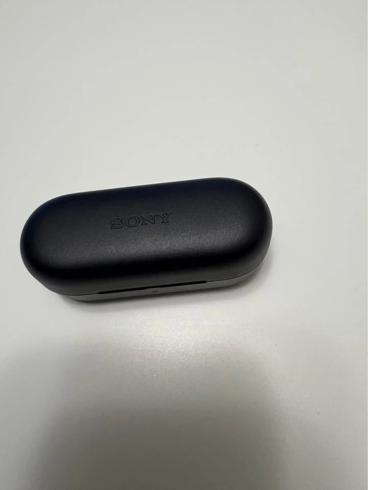 Sony WF-C510 Wireless Earbuds - photo 3