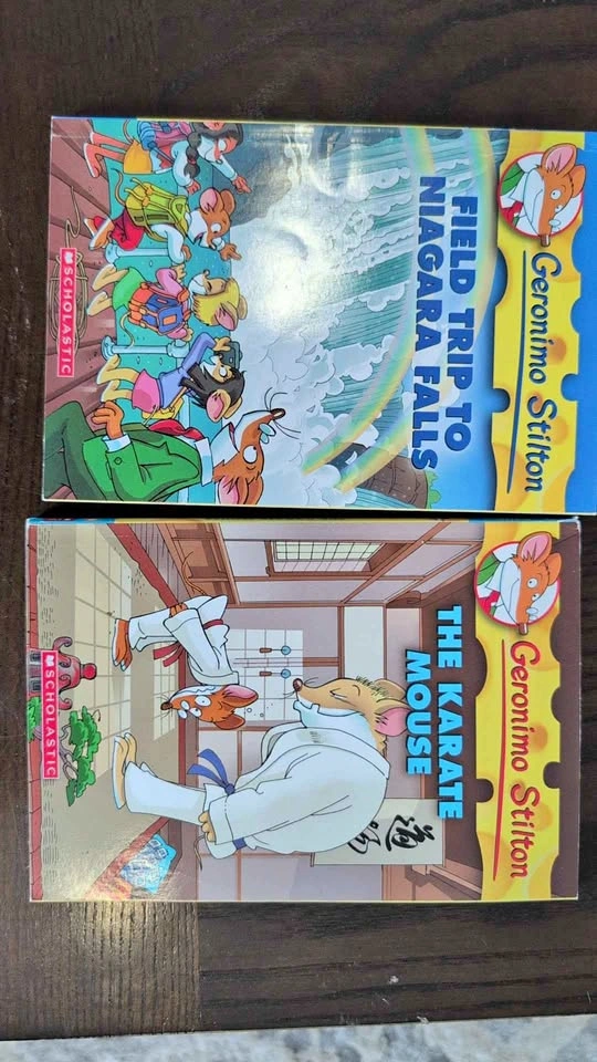 Geronimo Stilton Books - Field Trip to Niagara Falls & The Karat