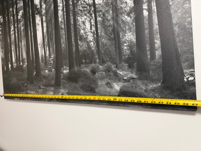 Large Forest Canvas Art - photo 2