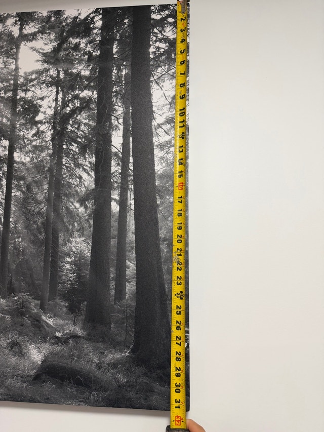 Large Forest Canvas Art - photo 3
