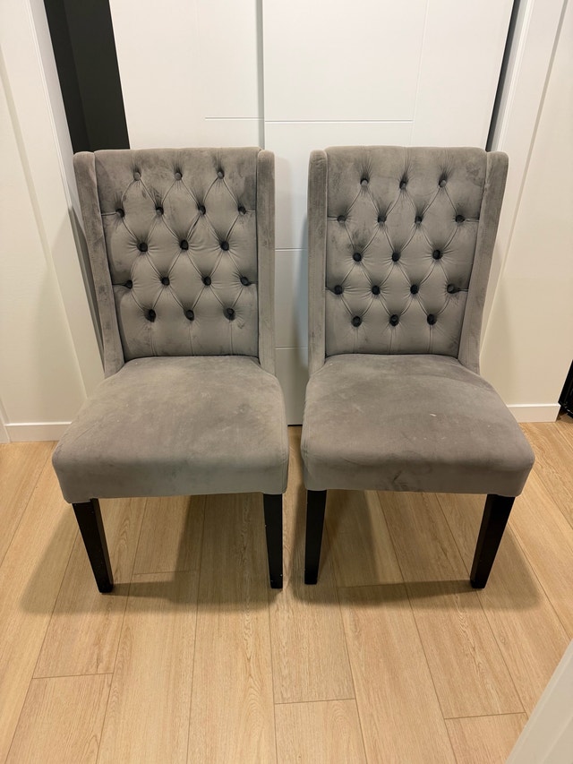 Dining Chairs (Set of 2)