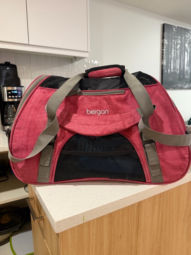 Pet Carrier Bergan Large